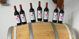 CUZZIOL GRANDI VINI Logo